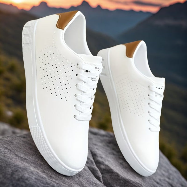 Paxton | Perforated Lace-Up Men's Sneakers with Contrast Heel Tab