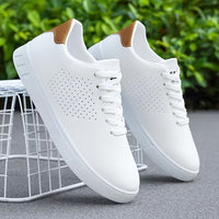 Paxton | Perforated Lace-Up Men's Sneakers with Contrast Heel Tab